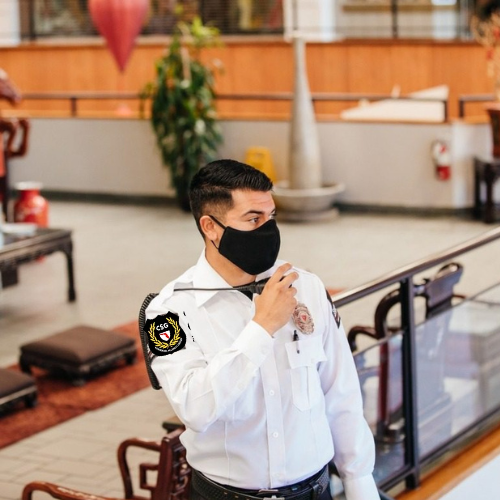 Armed & Unarmed Security Guards